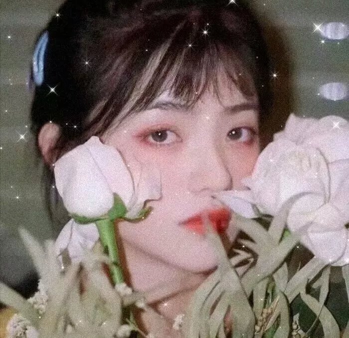 春风沉醉的夜晚